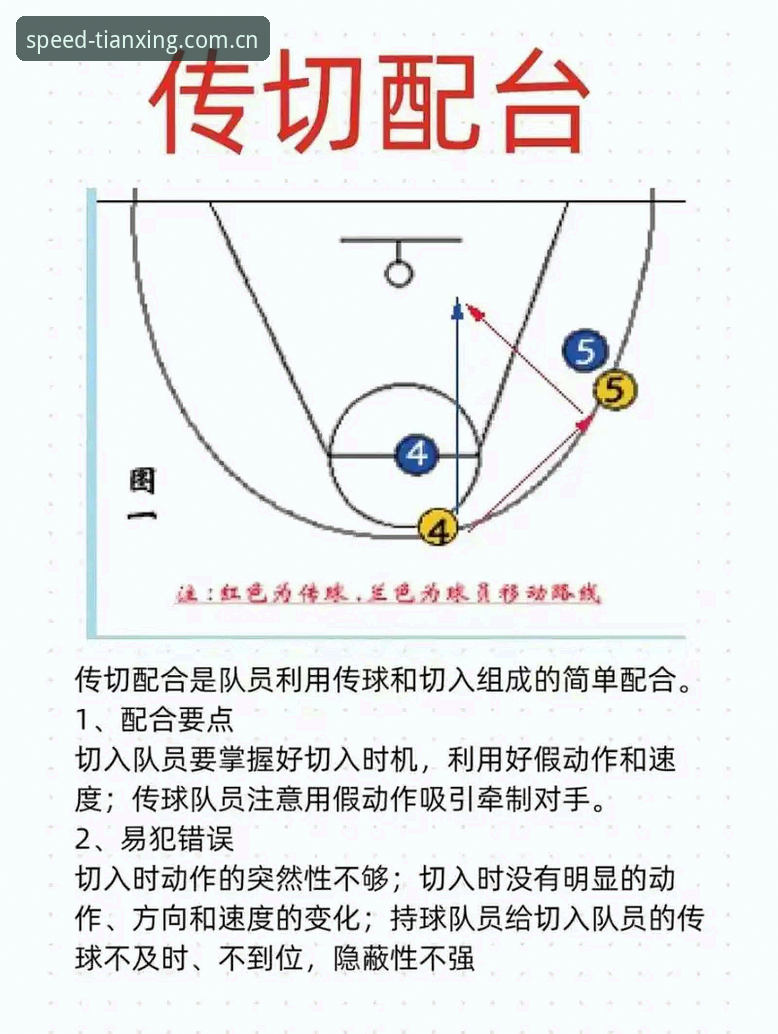 上海男篮G4晋级关键战：替补深度与体能分配实战解析