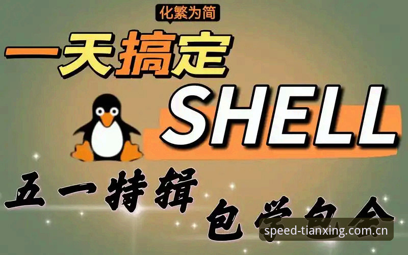 天行体育赛事回放3步搞定，v2.0.8版实战指南